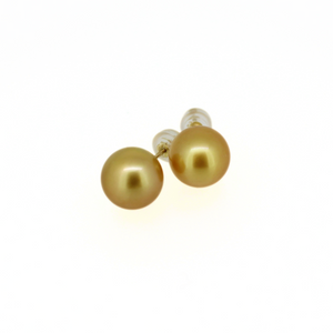 Brianne & Co 14k gold golden south sea pearl sud earrings 