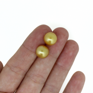 Brianne & Co. 14k gold south sea pearl stud earrings in hand