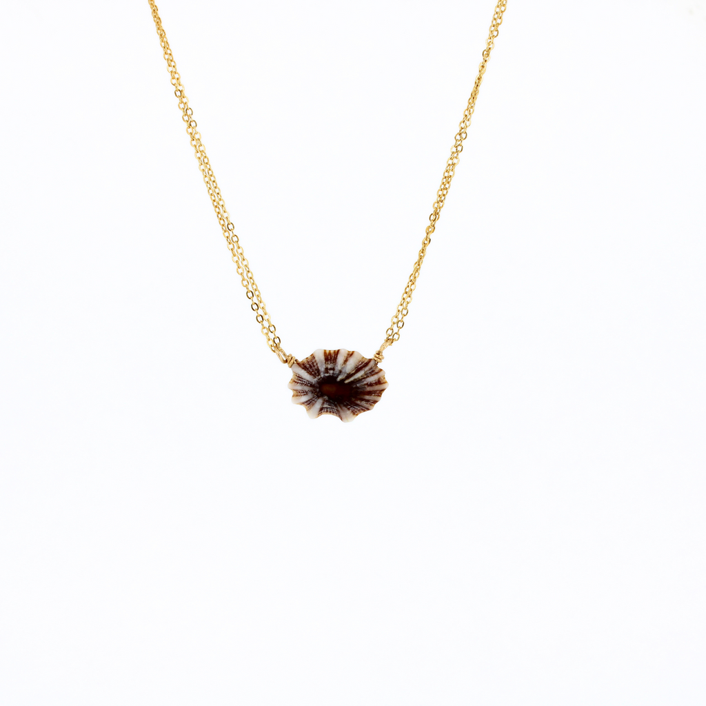Brianne & Co gold fill opihi shell necklace on adjustable chain