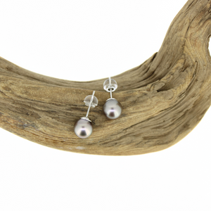 Brianne and Co top view of sterling silver natural Tahitian pearl studs
