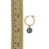 Gold Fill 18mm Tahitian Pearl Hoop Earrings