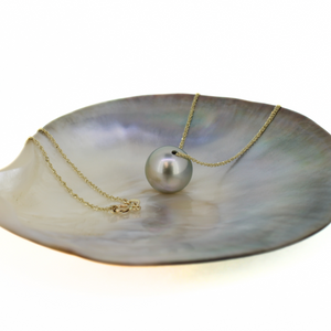 Brianne & Co. genuine Tahitian pearl floating along a solid 14k gold baby rope chain 18" long