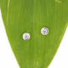 Brianne & Co 14k white gold stud earrings shown on leaf