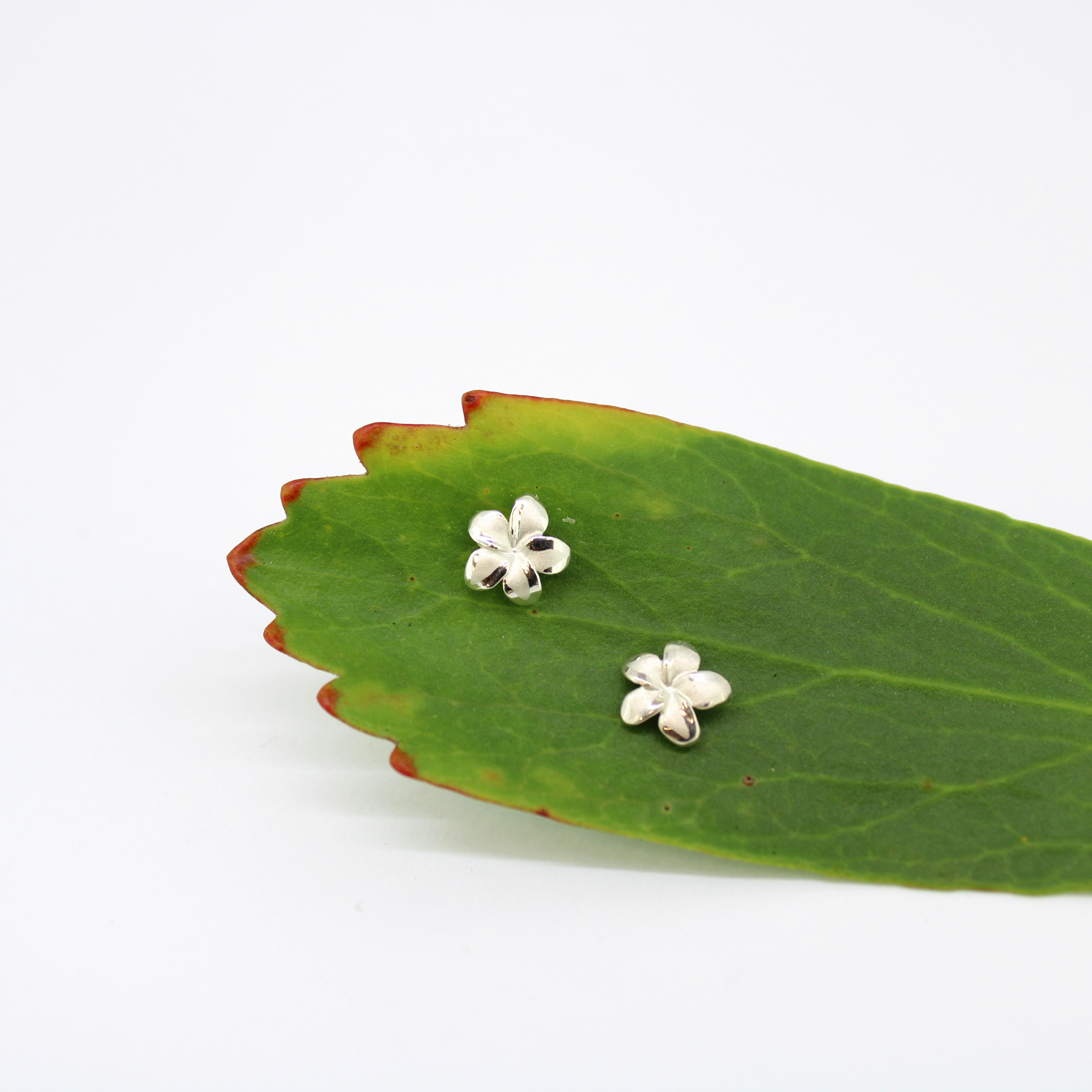 Brianne & Co. Sterling silver pua melia plumeria flower stud earrings