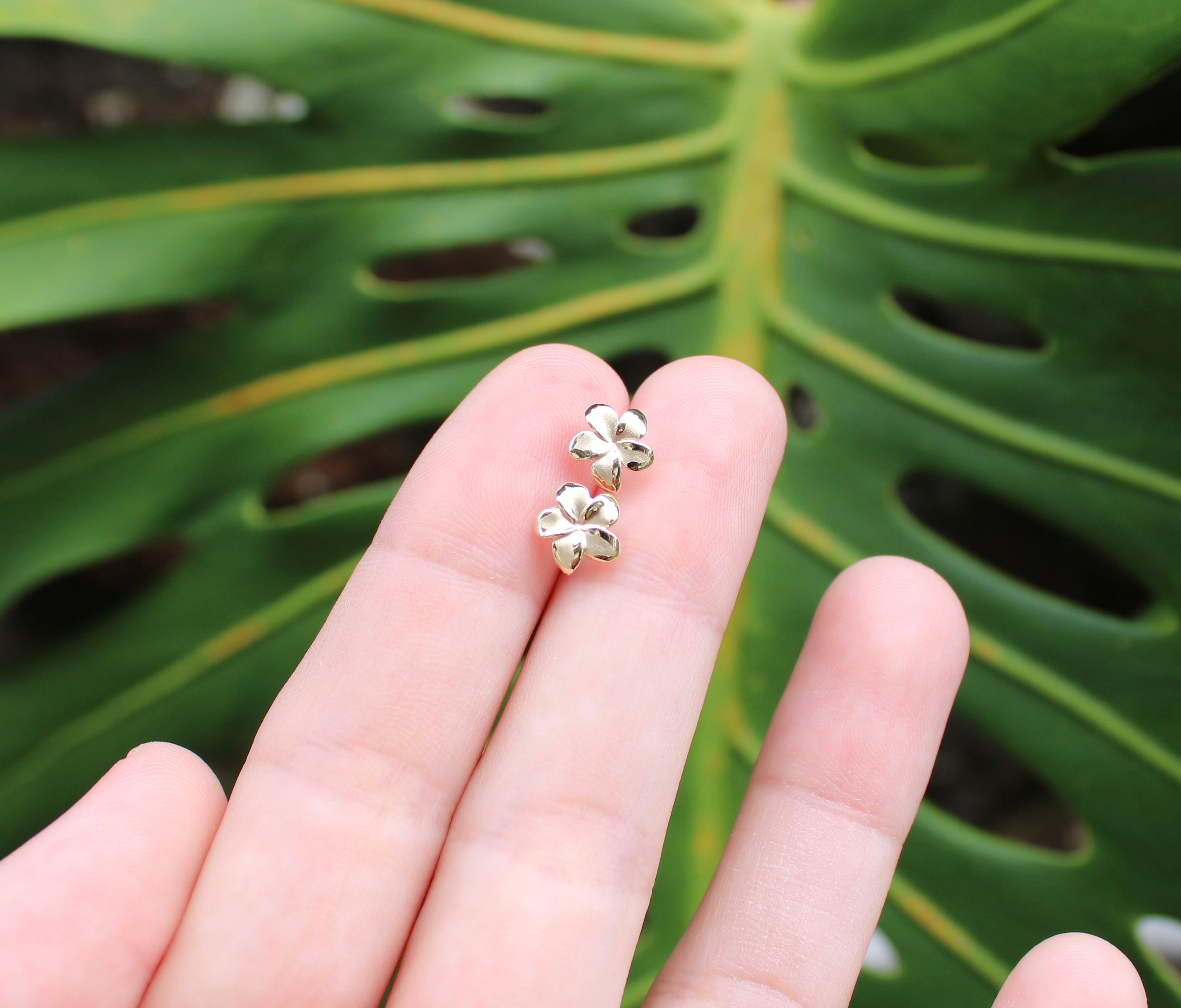 Brianne & Co. 14k gold plumeria flower stud earrings in hand