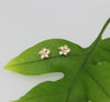 Brianne & Co 14k gold fine jewelry Pua Melia plumeria flower earring studs